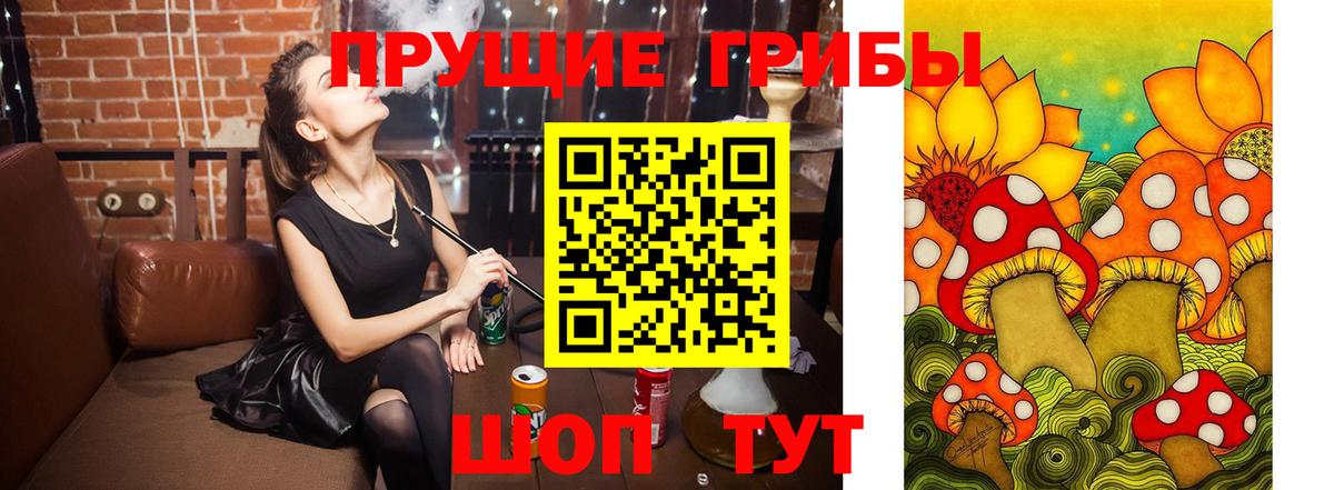 Псилоцибиновые грибы прущие грибы Гусев
