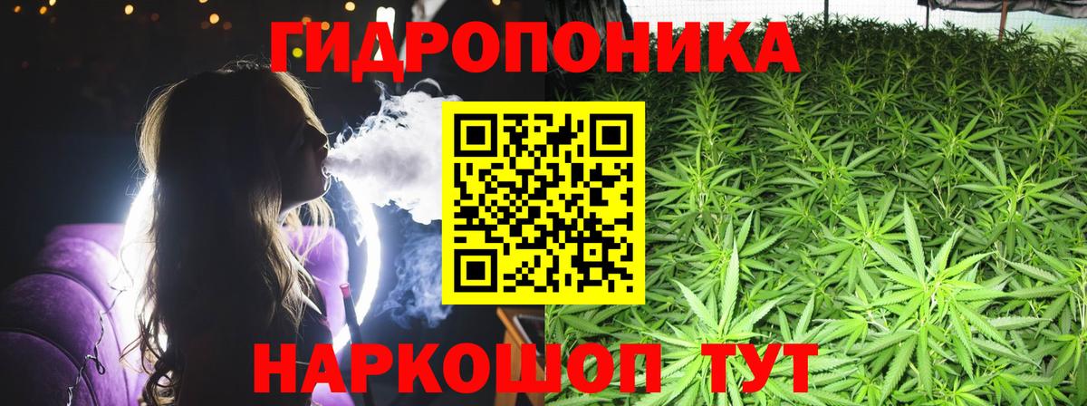 Бошки Шишки White Widow  Вход с VPN  Гусев  МАРИХУАНА тримм 
